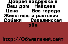 Добрая подружка,в Ваш дом!!!Найдена › Цена ­ 10 - Все города Животные и растения » Собаки   . Сахалинская обл.